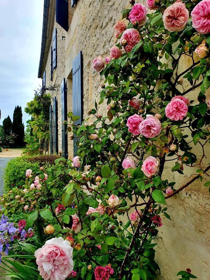 Le Clos De L'Amiral Preguillac Kültér fotó